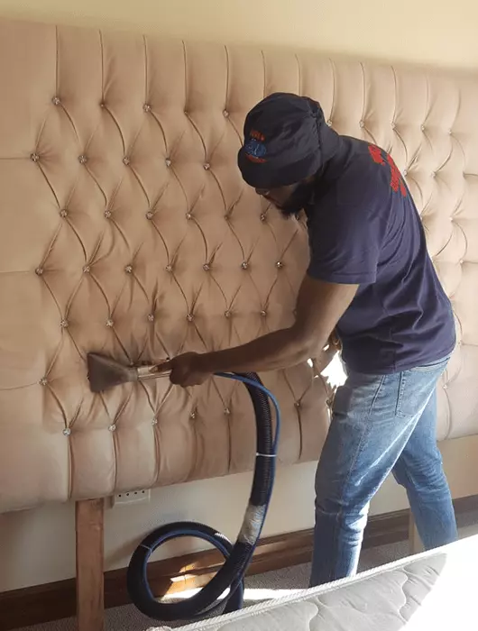 Upholstery Cleaning