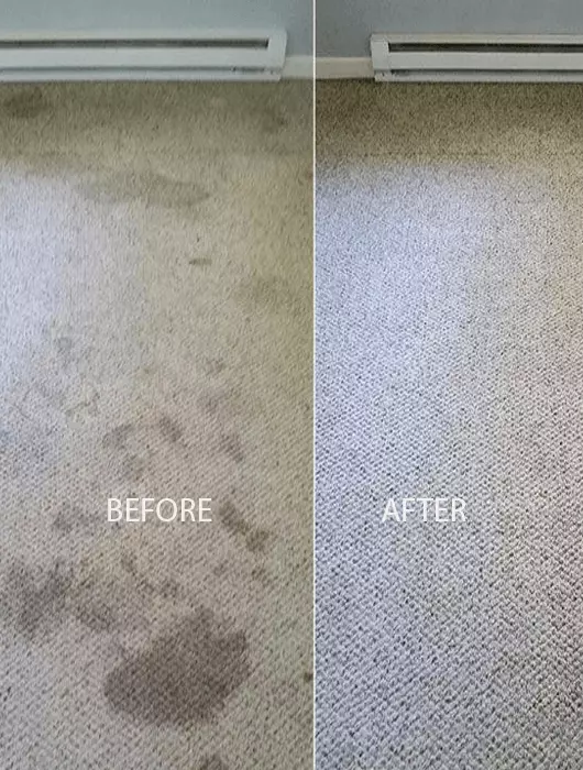 Carpet Cleaning