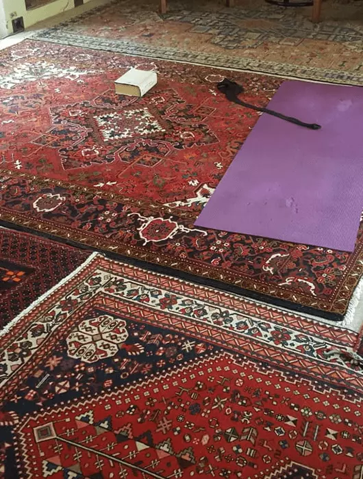Rug Cleaning